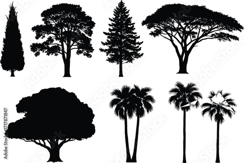 Collection of diverse tree silhouettes including pine, oak, acacia, palm and cypress, black nature vector set for forest landscape design