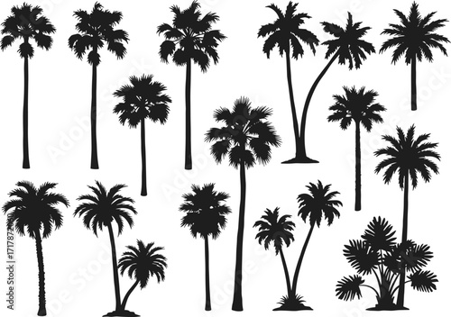 Collection of tropical palm tree silhouettes, coconut palm vector set, exotic summer beach trees, black nature illustration elements for landscape design