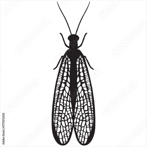 Detailed black silhouette of a lacewing insect with intricate veined wings and long antennae against a white background
