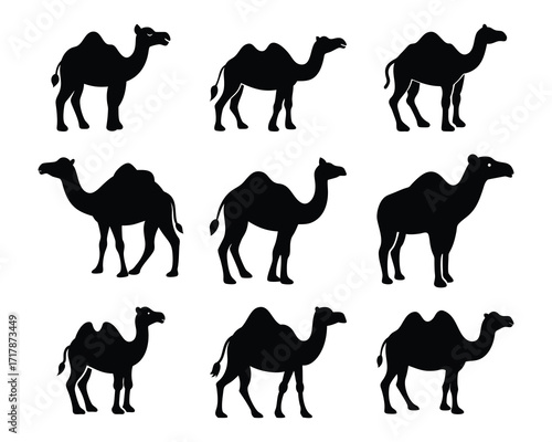 Black camel silhouettes on white background representing desert animals and iconic wildlife