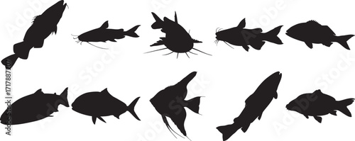 Set of 12 fish silhouettes Black and white icons Vector illustration Aquatic animals collection Isolated on white background