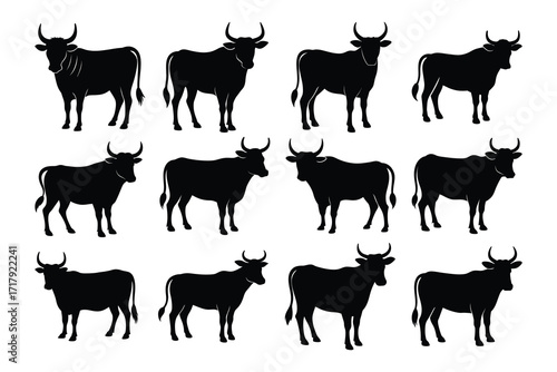 Bull Silhouette Set,Black Animal Collection,Cattle Group Vector Bundle