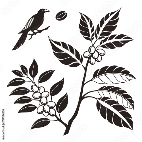 Coffee and Café Elegant Vector royalty-free Silhouette vector arts Collection design in white background .