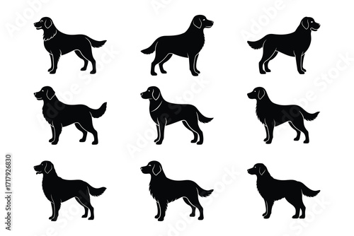 Black Labrador Dog Silhouettes Set Bundle Collection Group On White Background