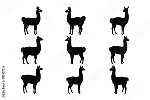 Llama Silhouette Vector Set Bundle Collection With Black Standing Animals