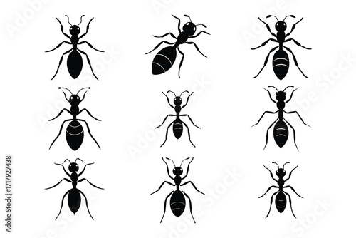 Black Ant Silhouette Set Bundle Collection Of Insects Group Isolated On White