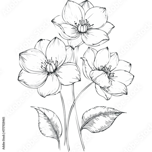 Lotus Flower Sketch Outline Illustration in Black and White – Hand Drawn Botanical Vector