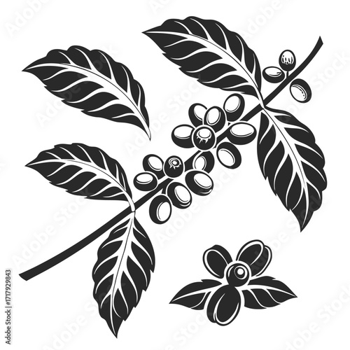 Coffee and Café Elegant Vector royalty-free Silhouette vector arts Collection design in white background .