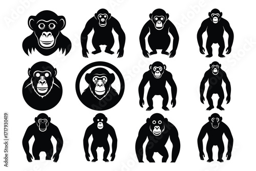Chimpanzee Silhouette Set Bundle Collection Apes Monkeys Primates Vector Graphic Group