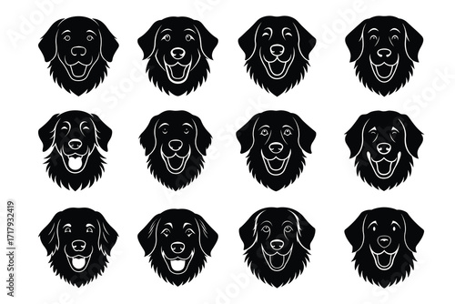 Black And White Golden Retriever Dog Head Set Bundle Collection Group Vector