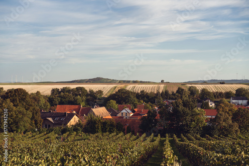 Gabsheim in Rheinhessen mit Petersberg, September 2025