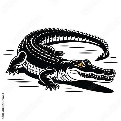 crocodile on black