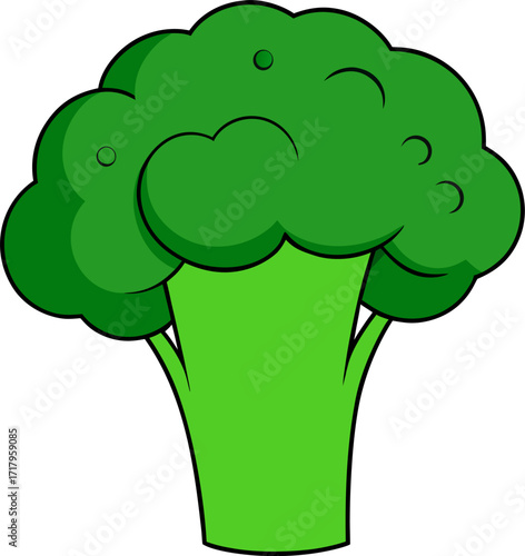 Broccoli Vector Illustration | Fresh Green Florets, Organic Vegetable, Healthy Food Design