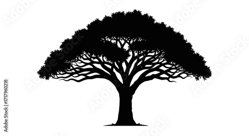 Elegant Marula Tree Silhouette A Timeless Emblem of Nature's Beauty and Resilience