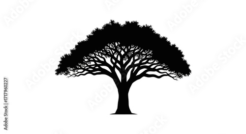 Captivating black Marula tree silhouette, an elegant illustration symbolizing the strength and natural beauty of African landscapes. Ideal for various design concepts