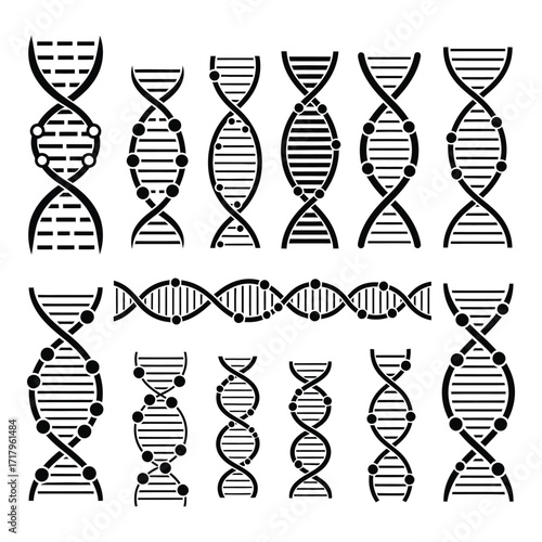 Diverse dna strand designs representing genetics life science research and biotechnology silhouette