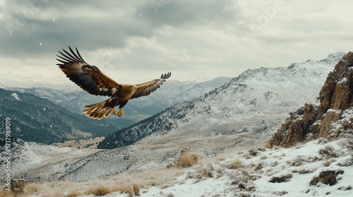 A golden eagle glides effortlessly through a breathtaking snowy mountain range, its rich golden feathers contrasting vividly with the pristine white snow and rugged peaks.