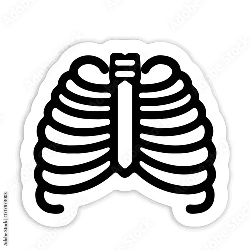 Rib Cage Outline Illustration Isolated on White

