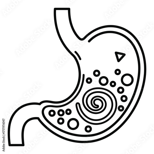 Human stomach anatomy line art with digestive elements and swirl icon silhouette