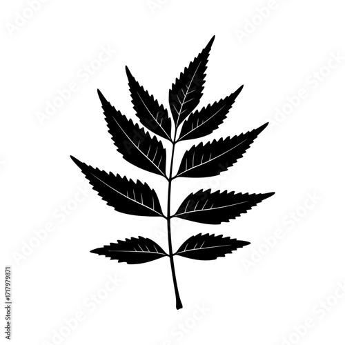 Minimalist black silhouette of a neem leaf branch, a simple botanical vector illustration isolated on a white background for natural and herbal design concepts
