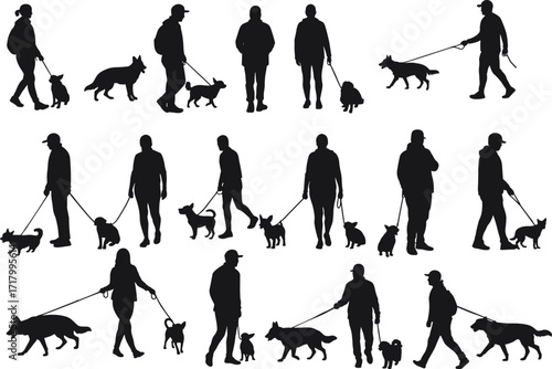 Silhouettes of People Walking Dogs, Outdoor Activity, Pet Owners, Dog Leash, Daily Walk, Animal Care, Training, Lifestyle Concept