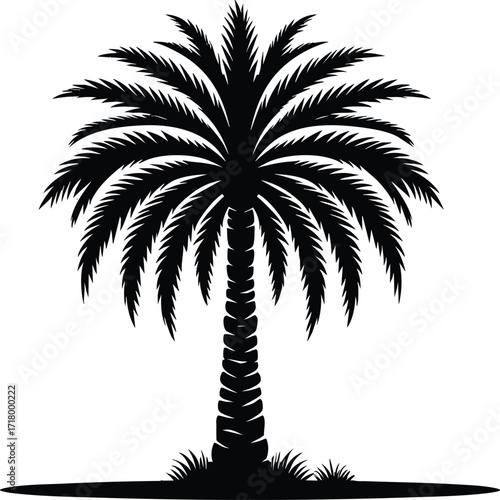 Date palm tree black silhouette vector illustration on an isolated white background