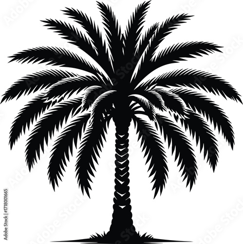 Date palm tree black silhouette vector illustration on an isolated white background