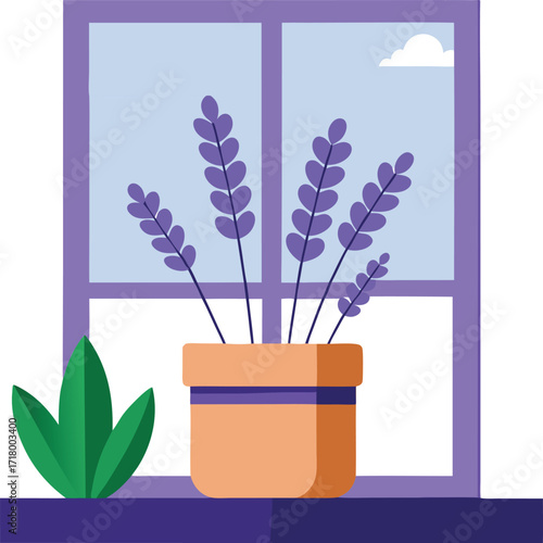 Lavender plant in a rustic pot by a window