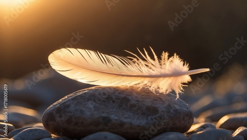 Delicate feather glowing in warm sunset light, symbol of lightness and peace, nature still life
