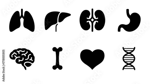 Set of black vector icons representing human organs and body parts, including lungs, liver, kidney, stomach, brain, bone, heart, and DNA.
