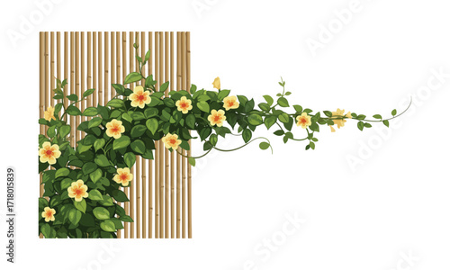 Vibrant creeper flower plant illustration with detailed petals  - Creeper flower plant vector art
