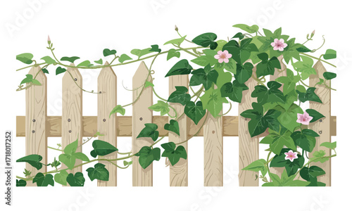 Vibrant creeper flower plant on fence- Creeper flower plant vector art