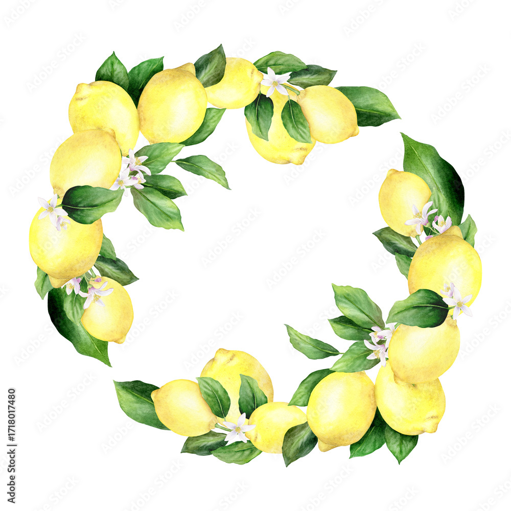 custom made wallpaper toronto digitalWatercolor lemon wreath is hand drawn and consists of lemons, flowers and leaves. Illustration of a citrus fruit. Isolated on white background. Suitable for food design and printing.