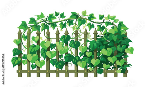Vine-Covered Wooden Fence with Lush Green Ivy – Garden Border Illustration - Creeper plant vector art