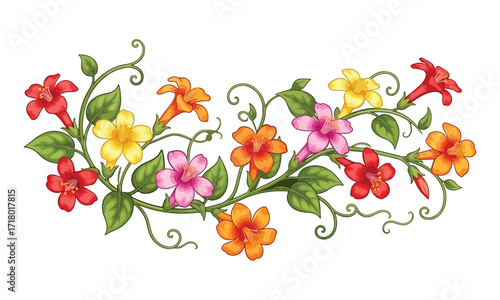 Vibrant creeper flower plant illustration with colorful petals - Creeper flower plant vector art