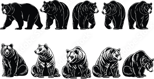Realistic bear illustrations and silhouettes, black and white vector art, wildlife animal drawing, forest creature clipart, detailed grizzly designs, rustic nature style.