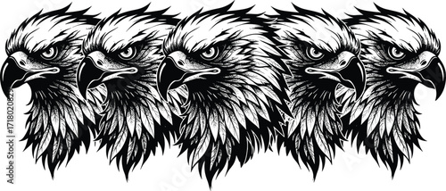 Powerful eagle head illustrations, fierce bird of prey, detailed black and white vector art, majestic wildlife design, tattoo style, aggressive animal drawing.
