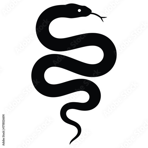snake vector illustration