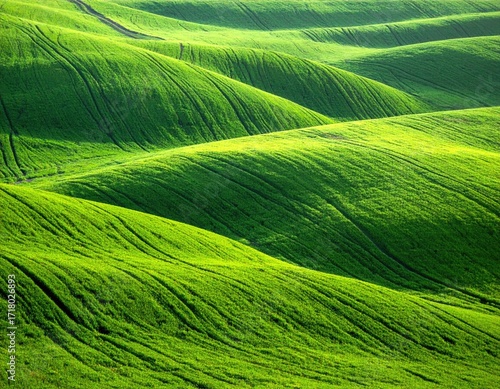 Rolling Green Hills Under Bright Daylight Nature Scene Countryside Scenery Meadow Land Pastoral Beauty Fresh Grass Scenic View Peaceful Landscape