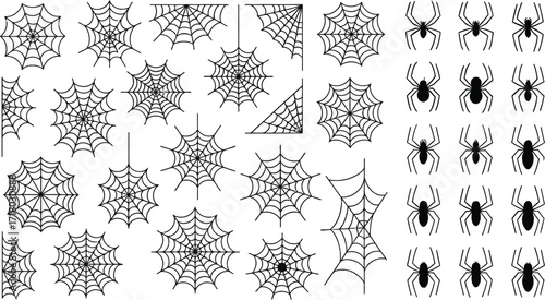 Diverse spider species and intricate web designs