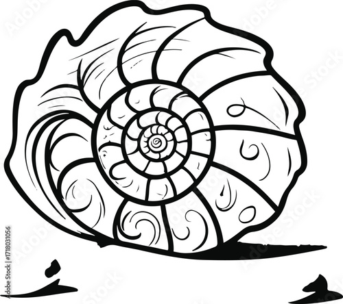 Minimal line art of spiral seashell on sandy ground