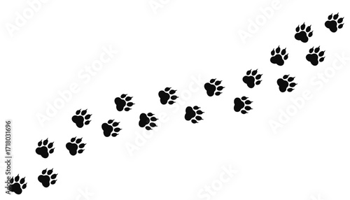 Dogs trail, wolf tracks footprints, path isolated, paw print, animal tracks