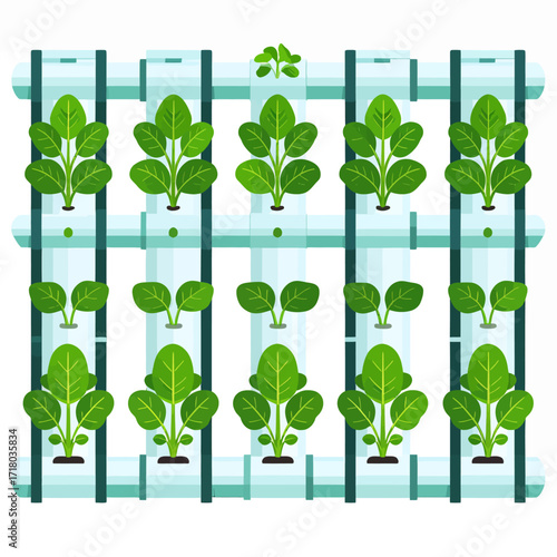 Illustration of a vertical hydroponic system with rows of leafy green plants growing in a controlled environment.