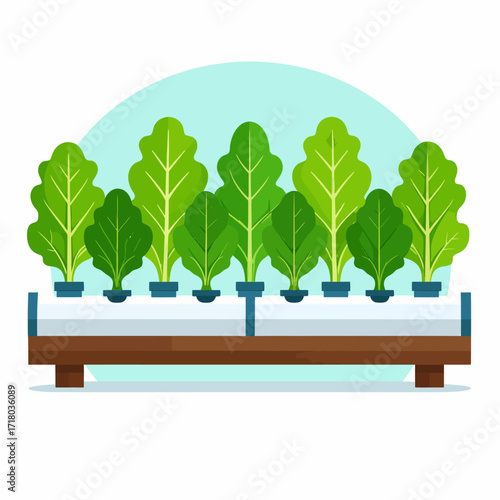 Hydroponic garden with healthy green leafy vegetables growing in a controlled environment system