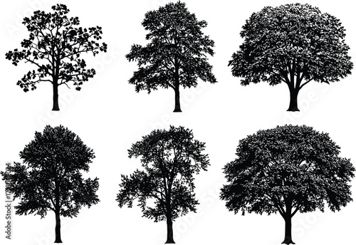 Silhouette collection of different tree shapes isolated on white background, detailed vector illustration set of natural forest and landscape design