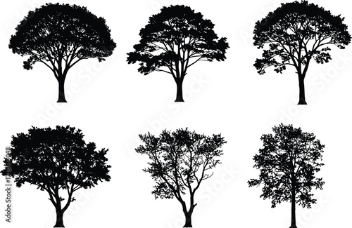 Silhouette collection of different tree shapes isolated on white background, detailed nature vector illustration set for design and decoration projects
