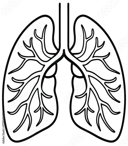 Anatomical black and white line art illustration of the human lungs and bronchial tree, representing the core components of the respiratory system for educational and health-related content