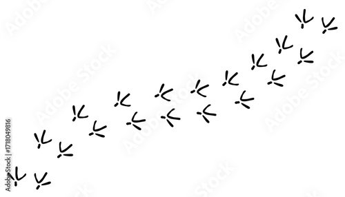 Сhicken trail, bird tracks footprints, path isolated, paw print, animal tracks