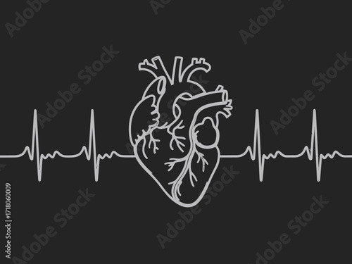 Human Heart Illustration with EKG Heartbeat Monitoring on Black Background for Medical and Healthcare Concepts