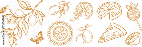 Hand-drawn lemon and citrus-themed doodles with branches, slices, whole fruits, and desserts. Includes pizza, lollipop, butterfly, and bee elements for playful decorative designs. Perfect for coloring